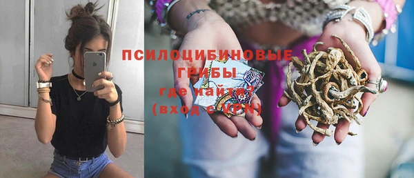 МДПВ Алексин