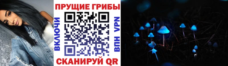Псилоцибиновые грибы прущие грибы  купить наркотики сайты  Тольятти 