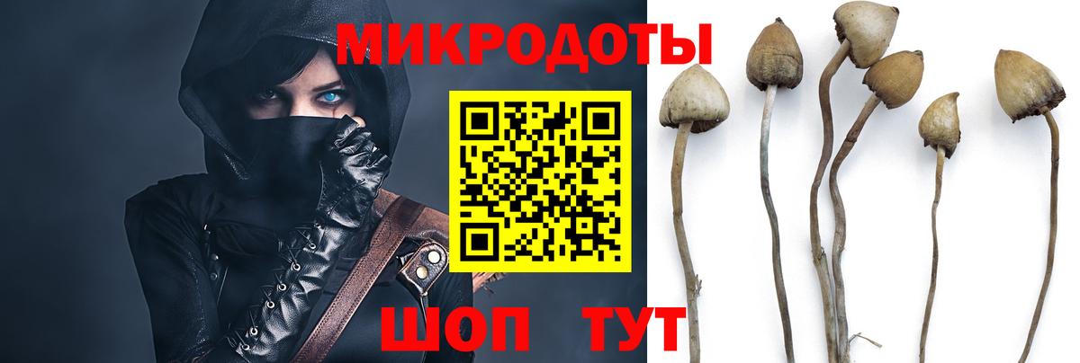 Тольятти  Галлюциногенные грибы Magic Shrooms  Галлюциногенные грибы ЛСД  Вход с VPN 
